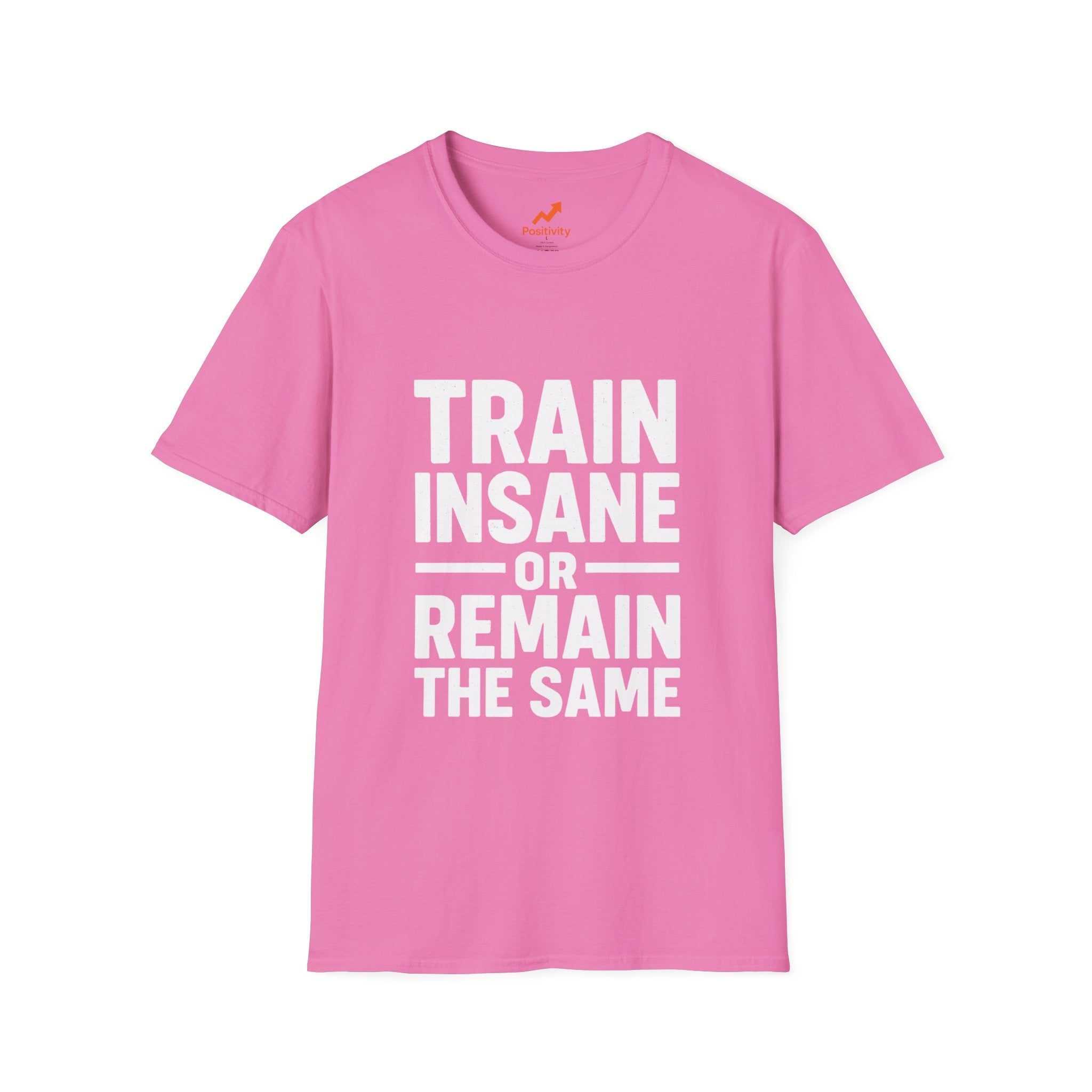 Train Insane Or Remain The Same - Positivity Prints